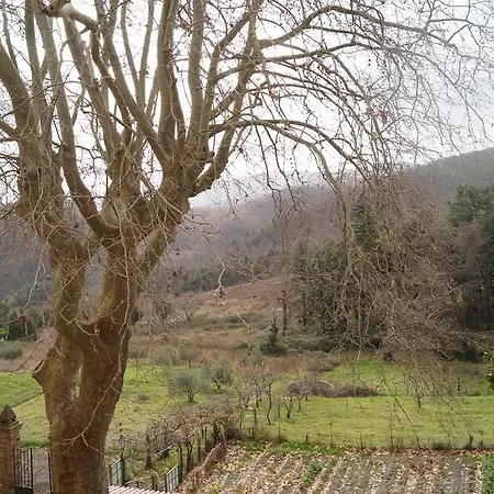 Agriturismo Montevaso Arti E Teatro Chianni