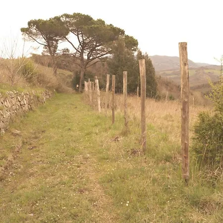 Agriturismo Montevaso Arti E Teatro * Chianni